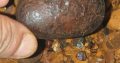 Cow Gallstones Eastern Cape