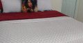 Experience the warmth of our hospitality at Lovers Way Guesthouse