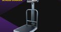 Electronic Digital Weighing Platform scale in Kampala Uganda