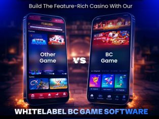 Invest in HighLevel Security Protection with BC Game clone script