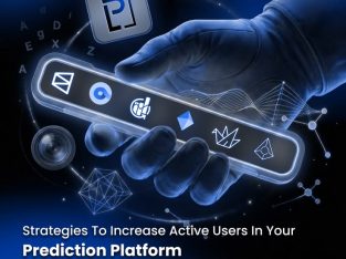 Revenue-Driven White-label Prediction Market Software for Startup