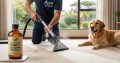 Professional Carpet Cleaning Services in Pretoria – Breathe Easie