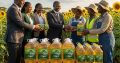 Tanzania Organic refined sunflower oil wholesale bulk exporters