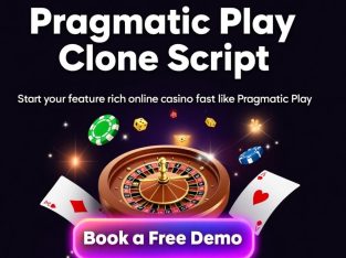 Power Your Casino Venture with a Multi-Game Pragmatic Play Clone
