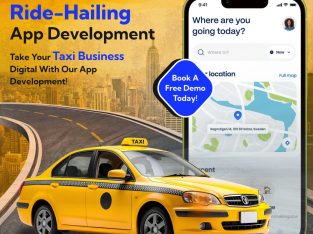 Launch a Feature-Rich Ride-Hailing App with SpotnRides