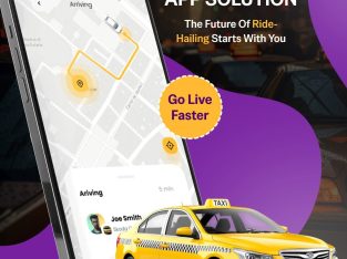 Start Your Ride-Hailing Business with a Powerful Lyft Clone