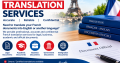 French-English Business Translation Service