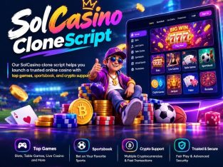 Enter the Crypto Gaming Market with a Blockchain Casino Clone