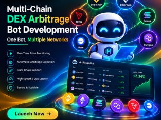 Multi-Chain DEX Arbitrage Bot Development – One Bot, Multiple Net